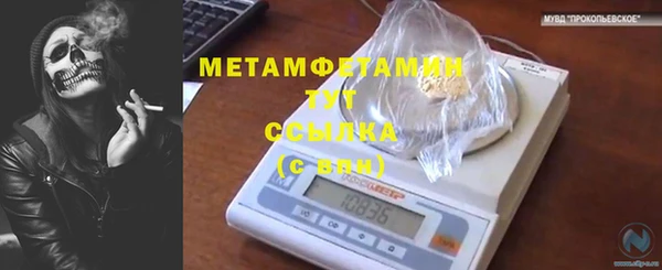 дурь Пестово