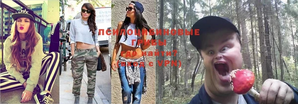 эйфоретик Осташков