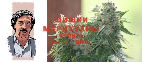 дживик Губаха