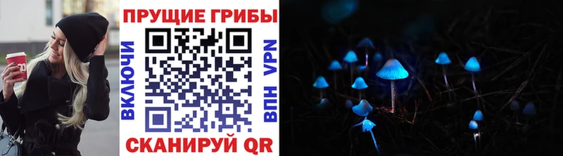 Псилоцибиновые грибы Magic Shrooms  хочу наркоту  Прохладный 