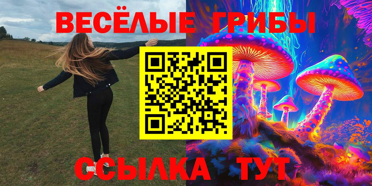 Галлюциногенные грибы Psilocybine cubensis  Псилоцибиновые грибы прущие грибы  Прохладный  Вход с VPN 