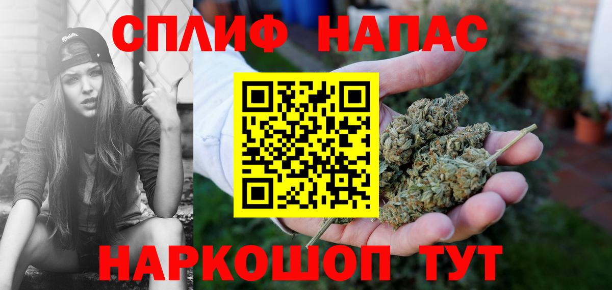 Бошки Шишки THC 21% Прохладный